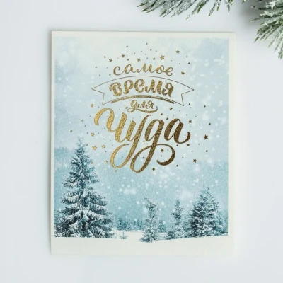 Мини открытка «самое время для чуда»